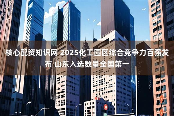 核心配资知识网 2025化工园区综合竞争力百强发布 山东入选数量全国第一