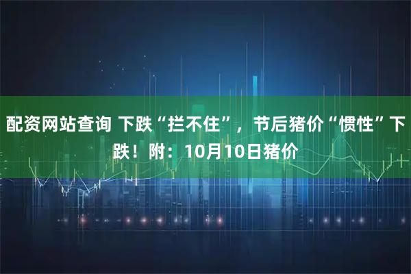 配资网站查询 下跌“拦不住”，节后猪价“惯性”下跌！附：10月10日猪价