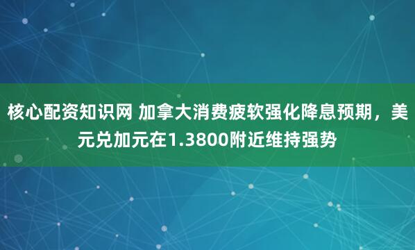核心配资知识网 加拿大消费疲软强化降息预期，美元兑加元在1.3800附近维持强势